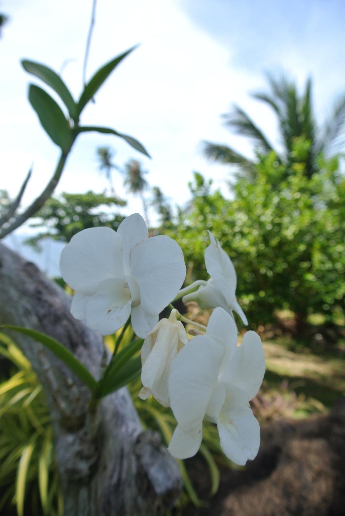 Tongatok Cliff Resort Mambajao Esterno foto