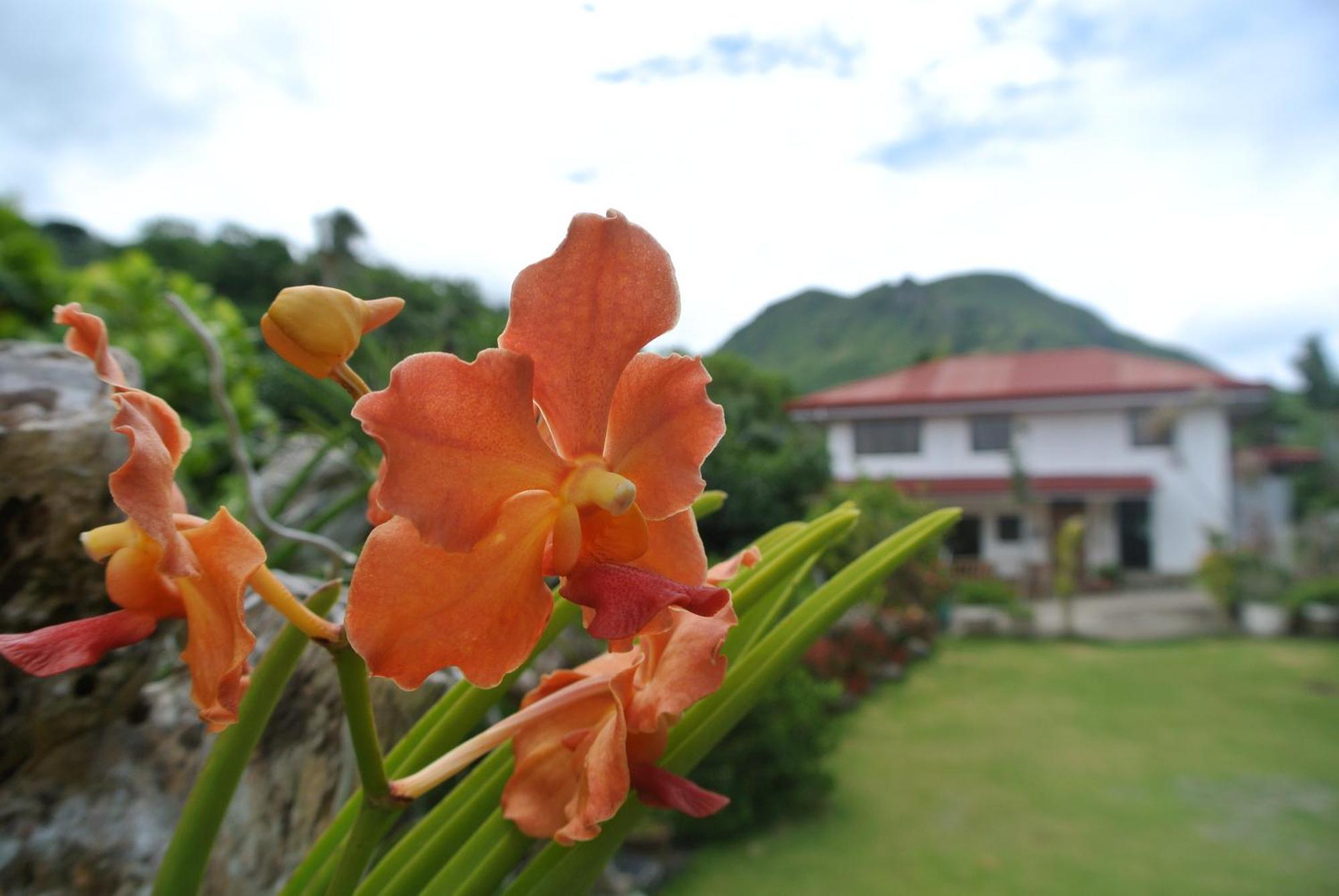 Tongatok Cliff Resort Mambajao Esterno foto